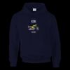 DryBlend® adult hooded sweatshirt Thumbnail