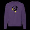 Classic 80/20 raglan sweatshirt Thumbnail